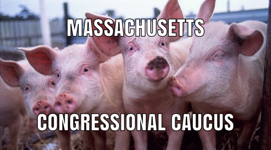 MA Congressional Congress - eating at the trough